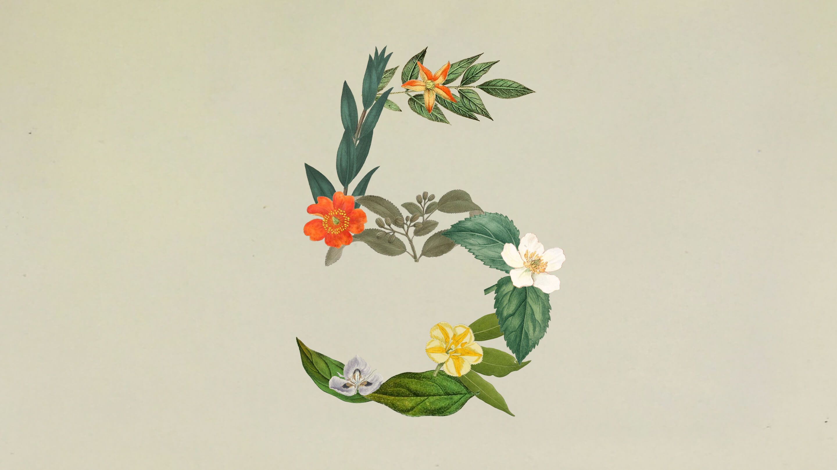 Flowers and leaves forming the number five for Claude Sonnet 5